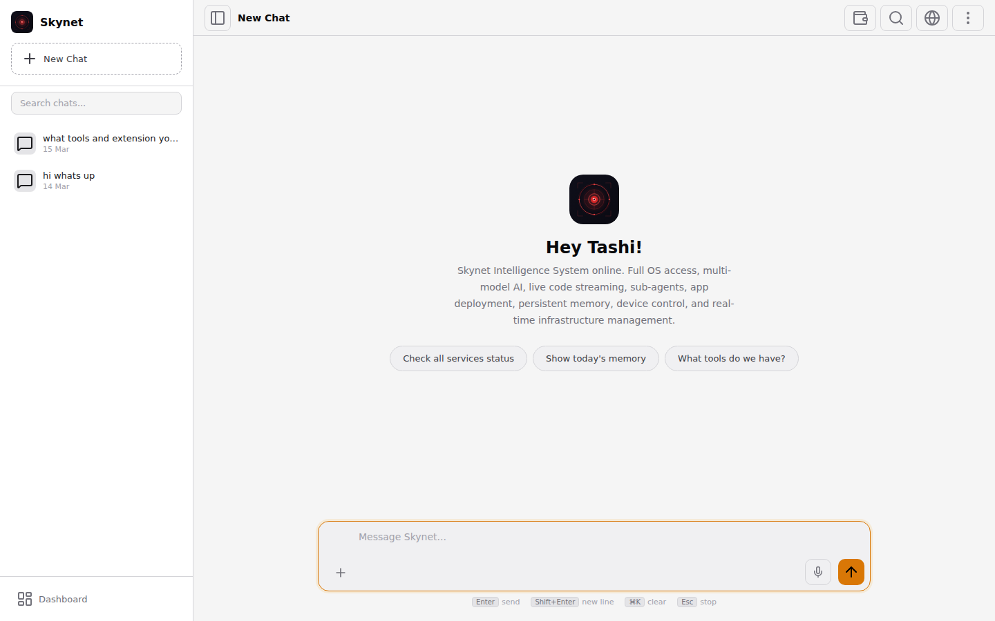 Skynet AI Chat Interface